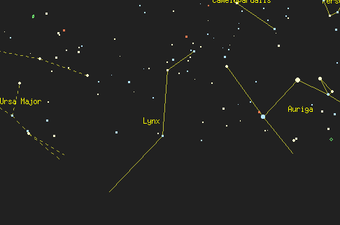 ursa major constellation. A member of the Ursa Major